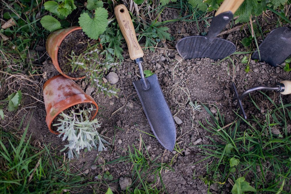 Schmale Pflanzenkelle mit Eschengriff