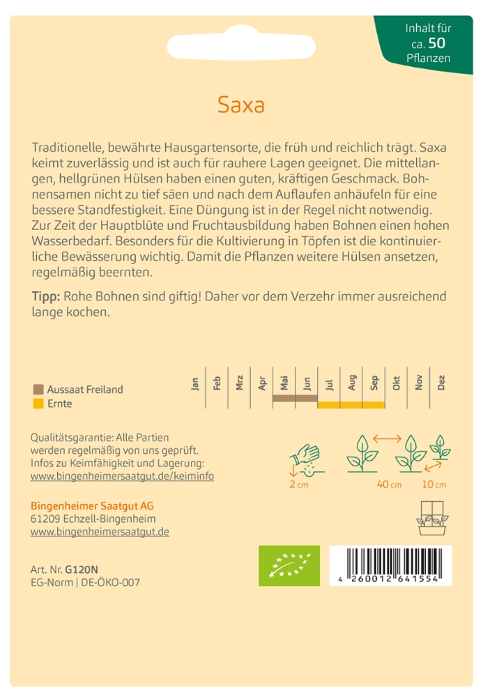 Grüne Buschbohne 'Saxa'