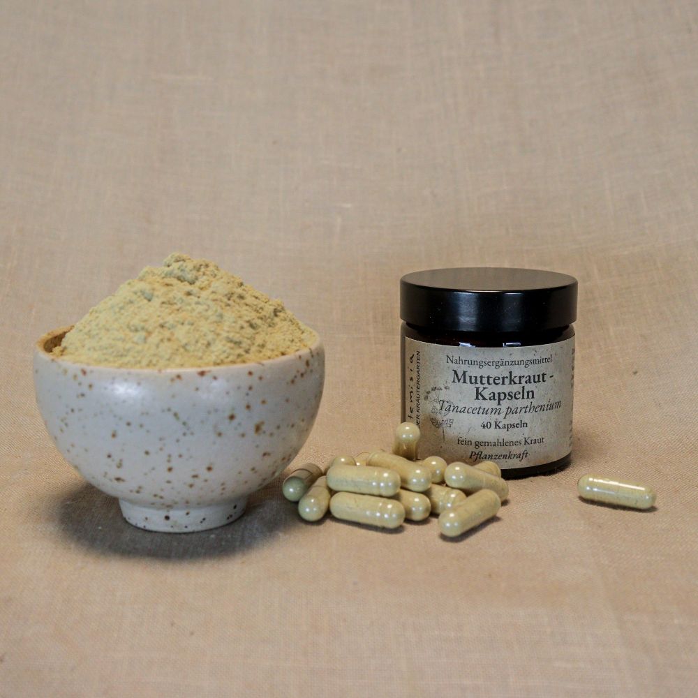 Mutterkraut Kapseln