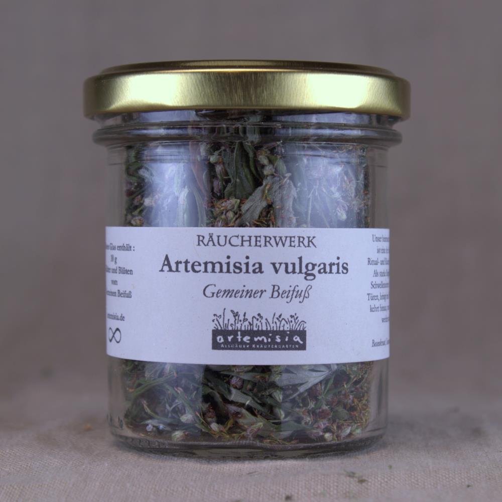Beifuß - Artemisia vulgaris