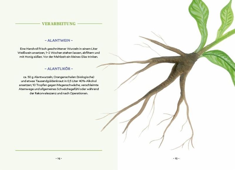 Die Kraft der Wurzeln