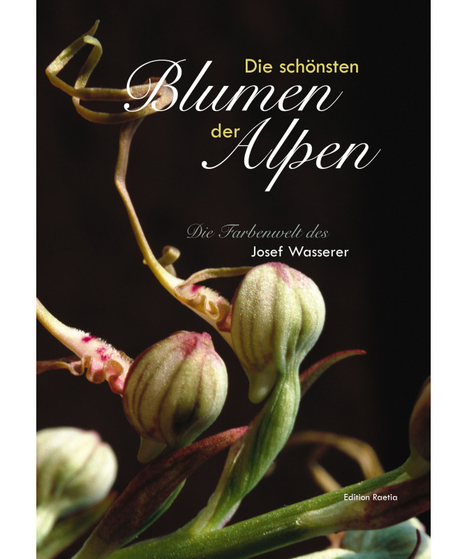 Die schönsten Blumen der Alpen