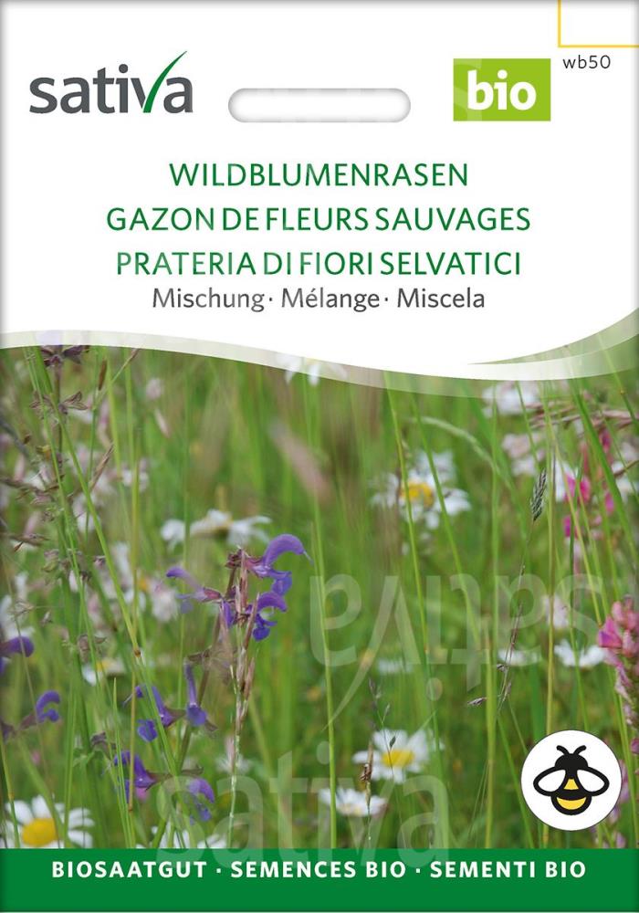 Wildblumenmischung 'Wildblumenrasen'