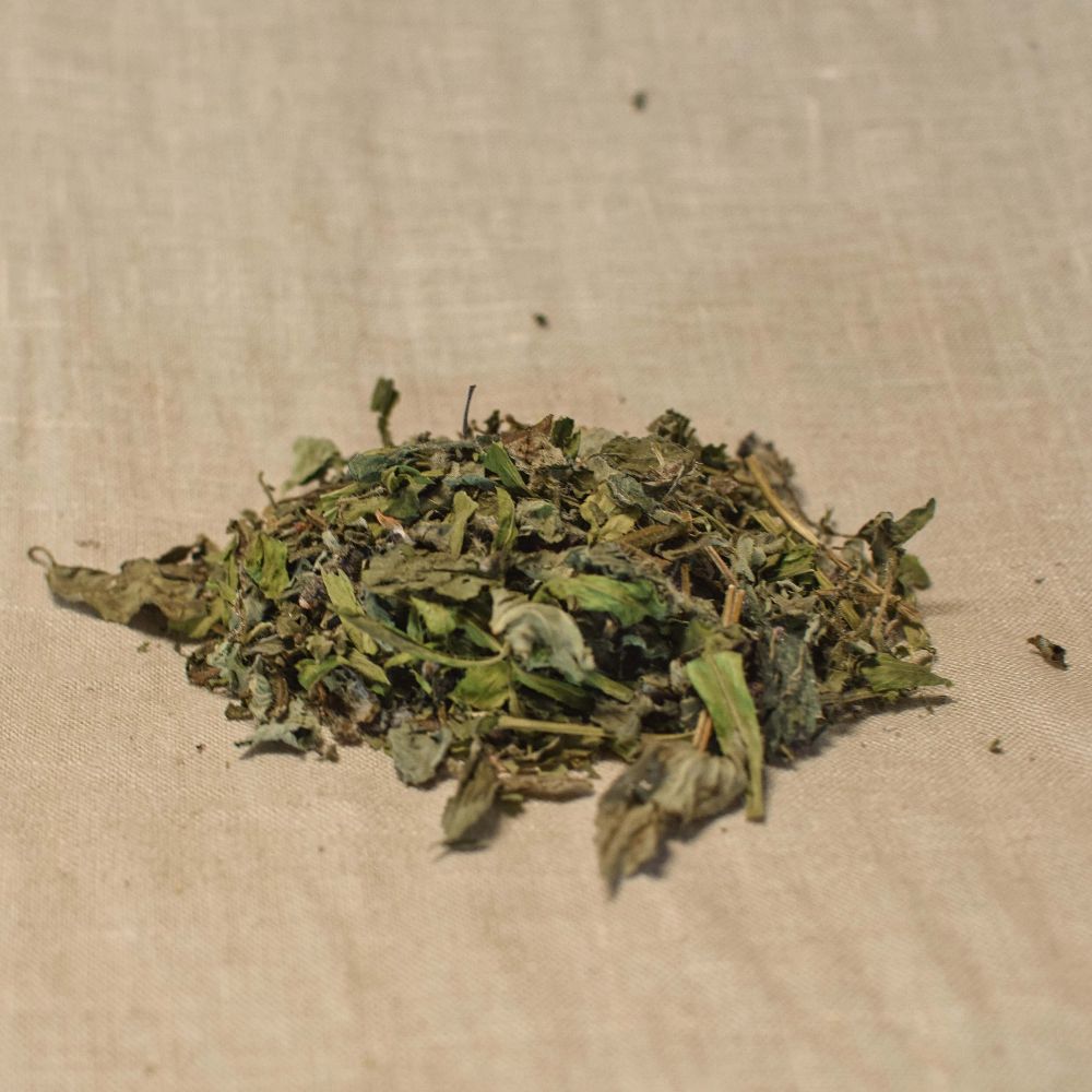 Lucida - Freunde des Lichts**