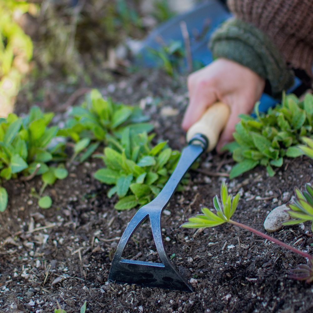 Handhacke mit Eschengriff
