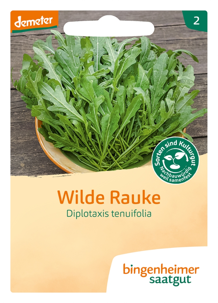 Rucola Salat 'Wilde Rauke'