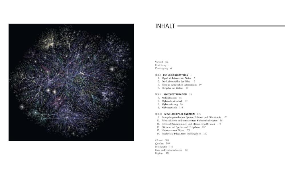 Das große Netz - Wie Pilze die Welt retten können
