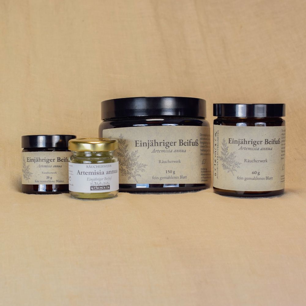Artemisia annua Blattpulver Räucherwerk