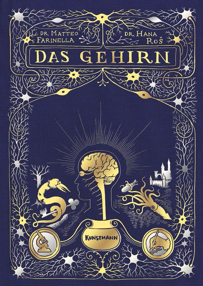 Das Gehirn