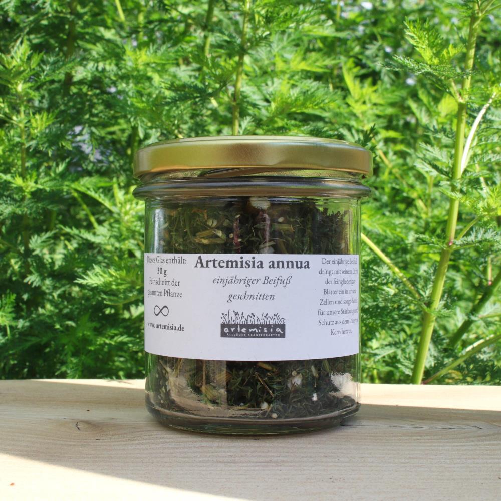 Artemisia annua geschnitten