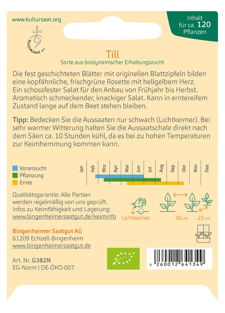 Eichblattsalat 'Till'