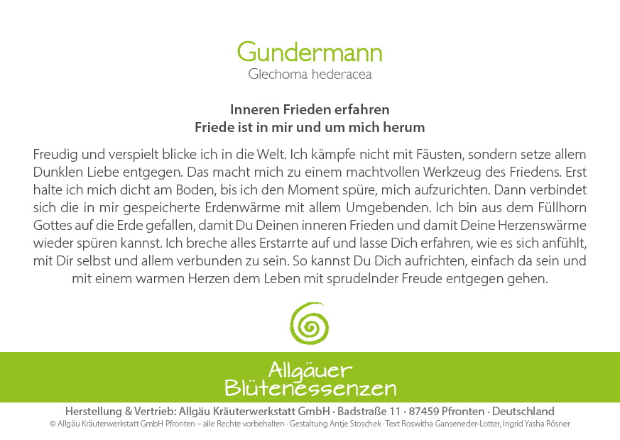 Gundermann - Blütenessenz