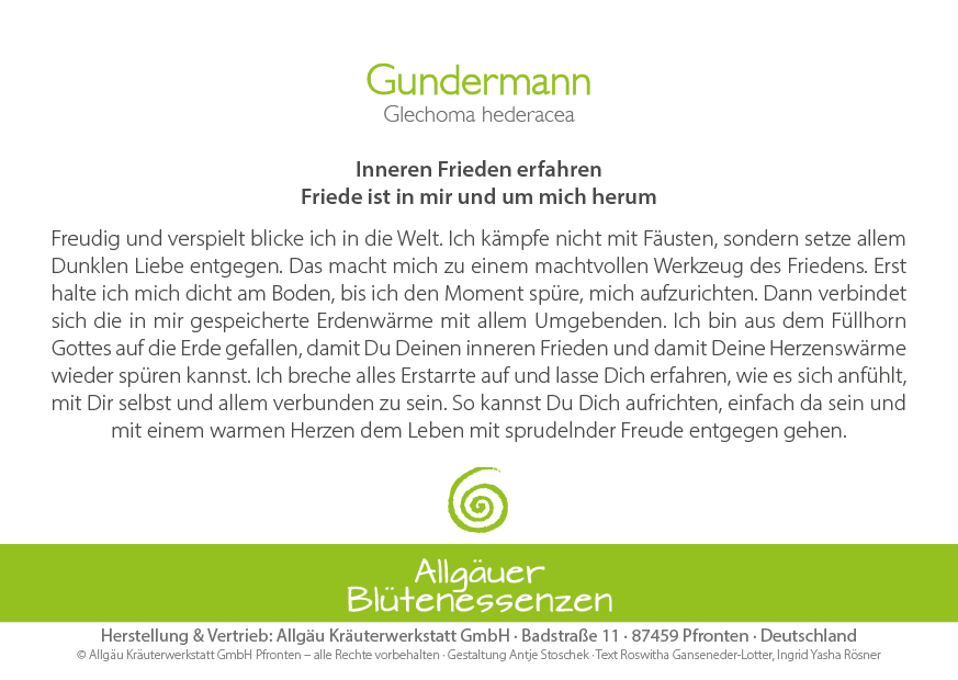 Gundermann - Blütenessenz Gundermann - Blütenessenz