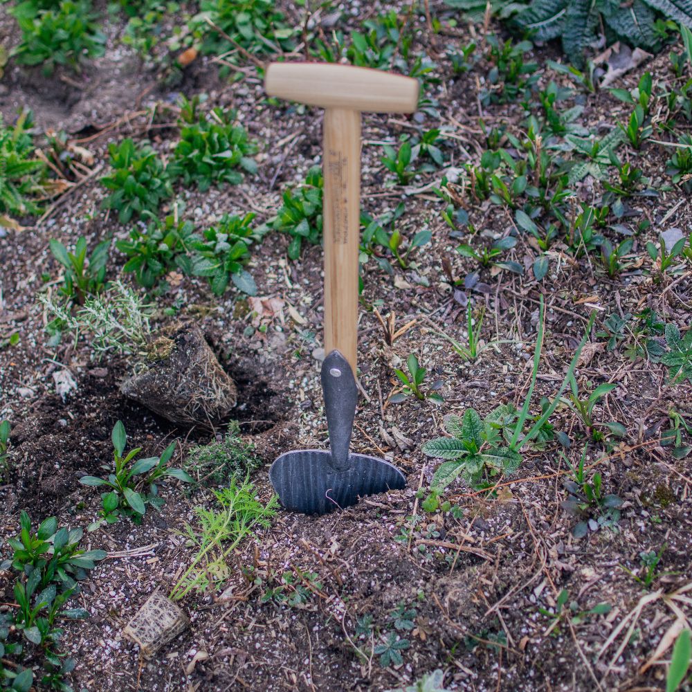Staudenspaten mit Eschen-T-Stiel