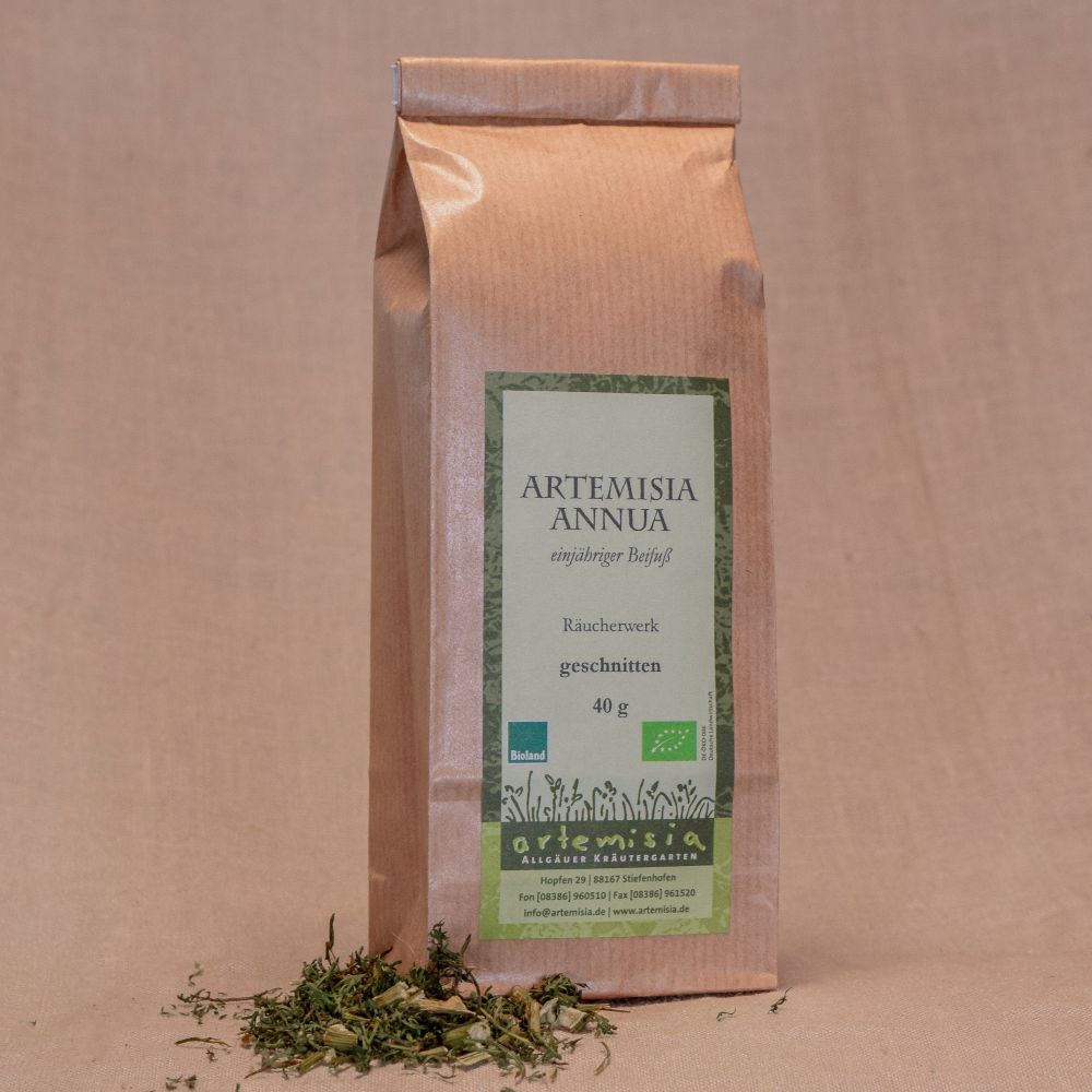 Artemisia annua geschnitten Räucherwerk