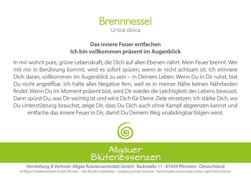 Brennnessel - Blütenessenz