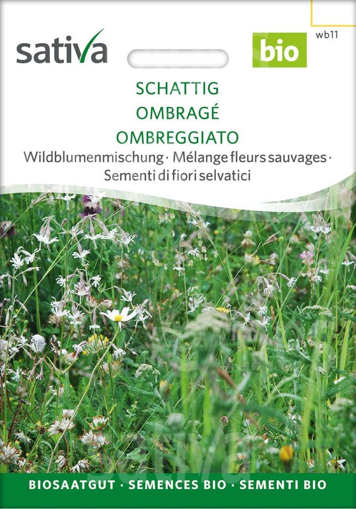 Wildblumenmischung 'schattig'