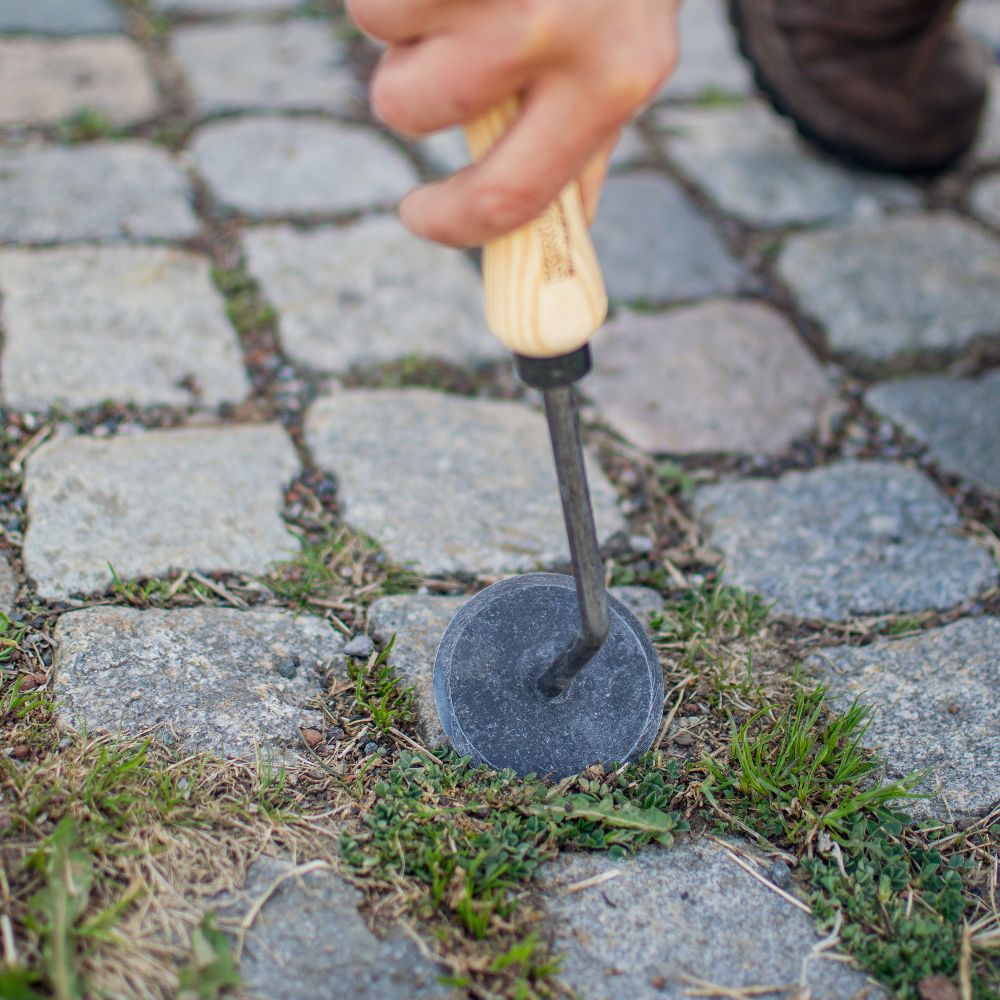 Gartendisk - Unkrautmesser mit Eschengriff