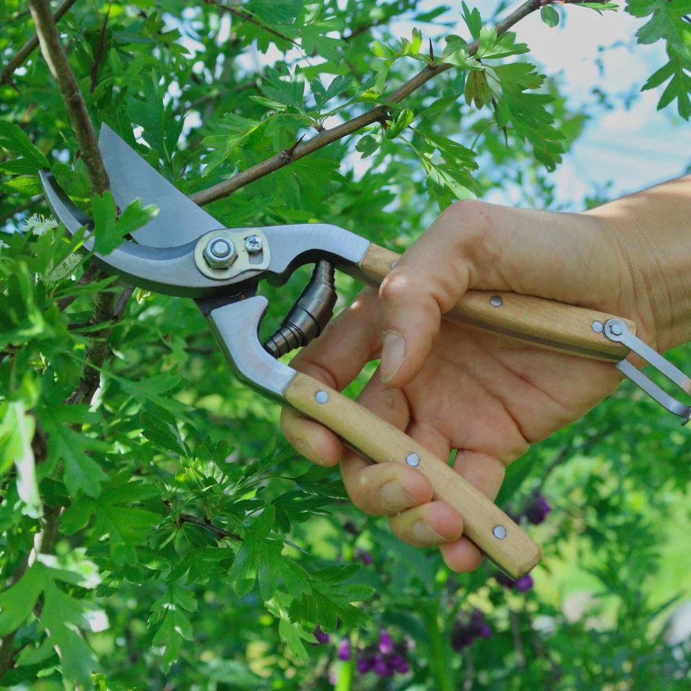 Gartenschere mit Buchenholzgriff Gartenschere mit Buchenholzgriff