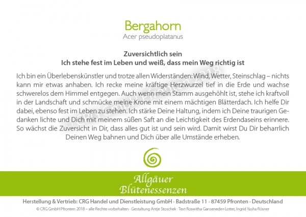 Bergahorn - Blütenessenz