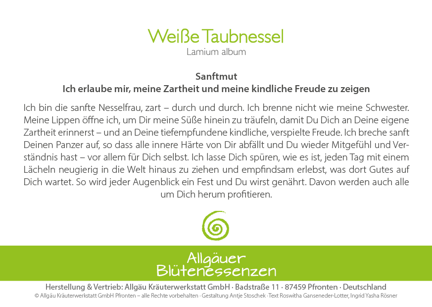 Weiße Taubnessel - Blütenessenz