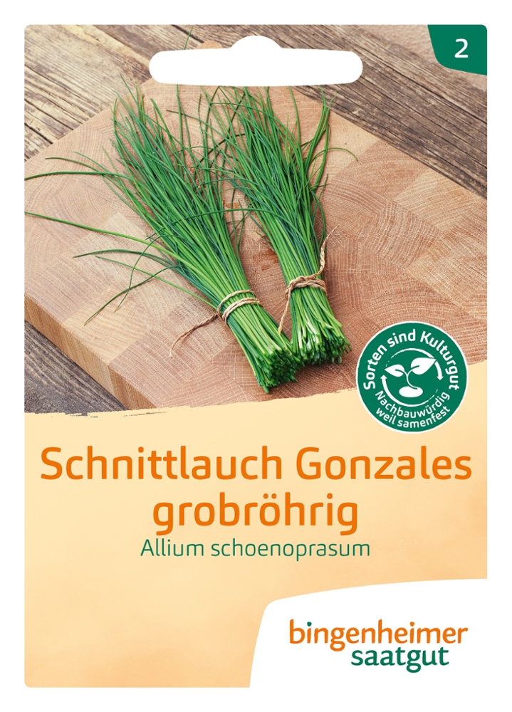 Schnittlauch 'Gonzales'
