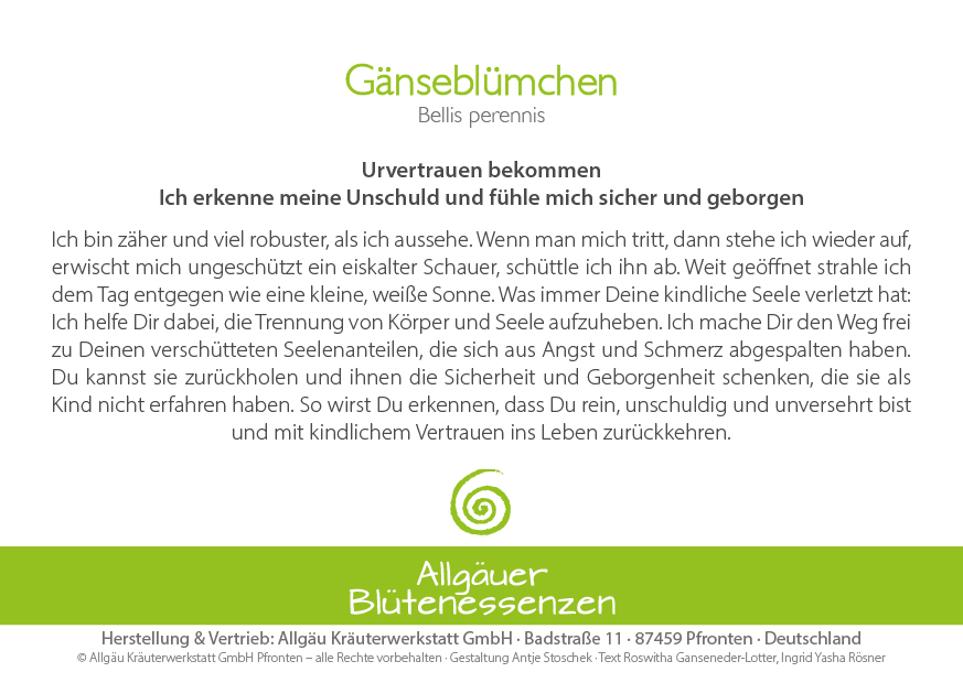 Gänseblümchen - Blütenessenz Gänseblümchen - Blütenessenz
