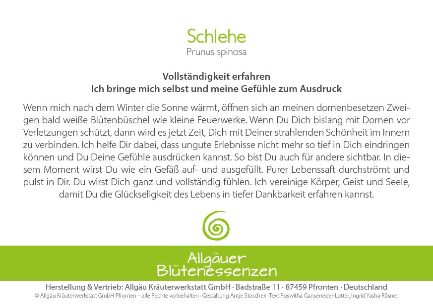 Schlehe - Blütenessenz Schlehe - Blütenessenz