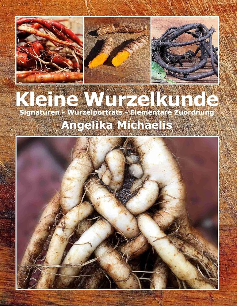 Kleine Wurzelkunde