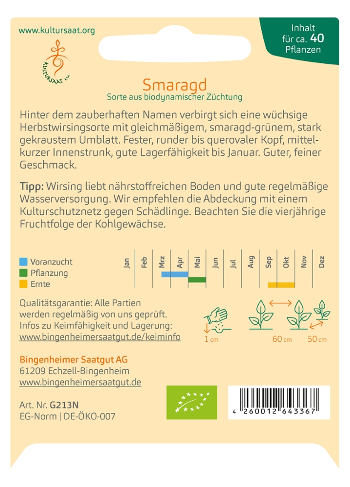 Wirsing 'Smaragd'