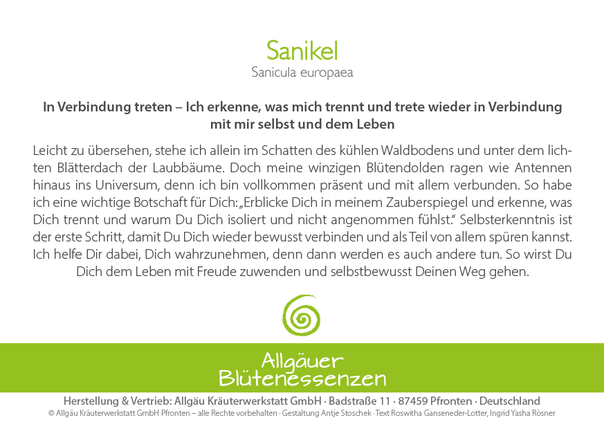 Sanikel - Blütenessenz