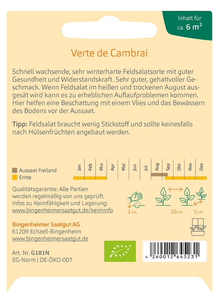 Feldsalat 'Verte de Cambrai'
