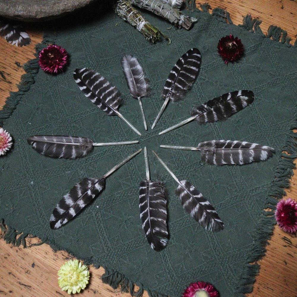 Kleine Räucherfeder