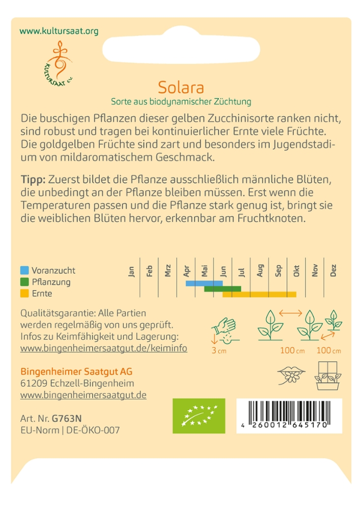 Gelbe Zucchini 'Solara'