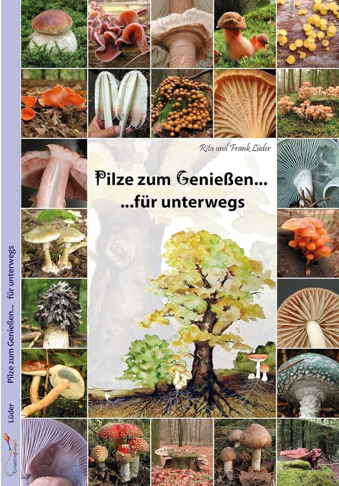 Pilze zum Genießen für unterwegs