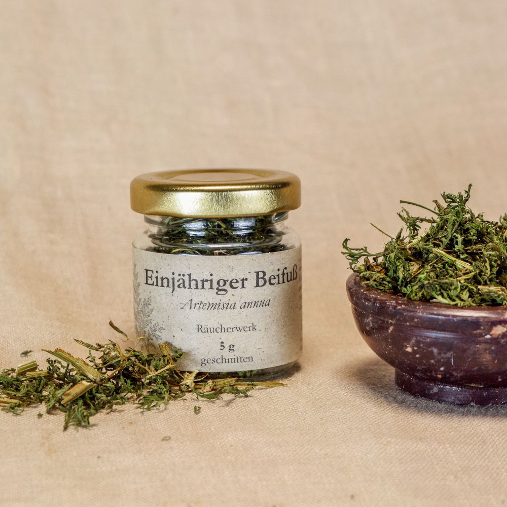 Artemisia annua geschnitten Räucherwerk