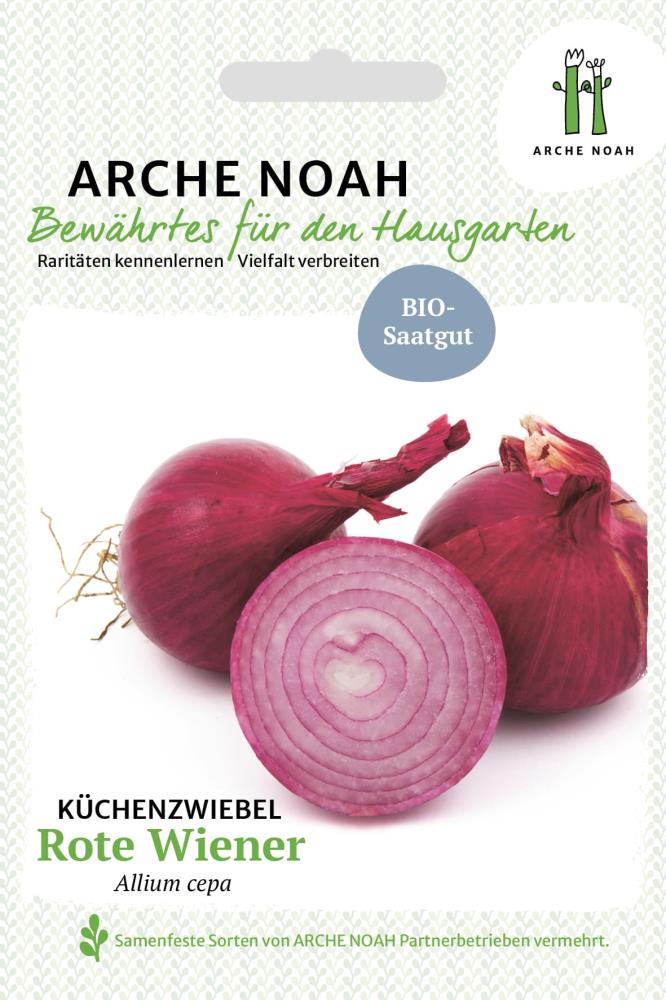 Küchenzwiebel 'Rote Wiener'