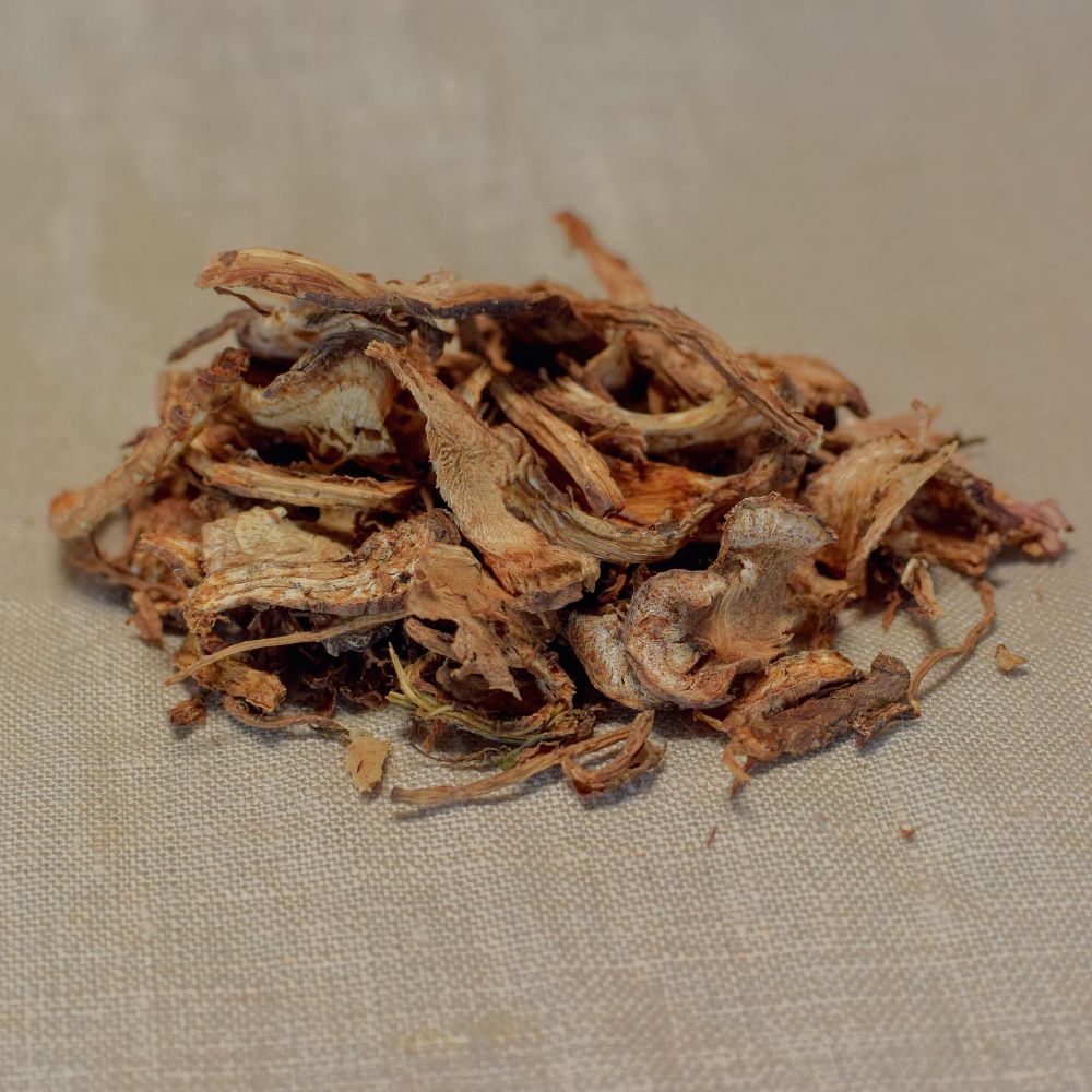 Erzengelwurz - Angelika Archangelika Wurzeln