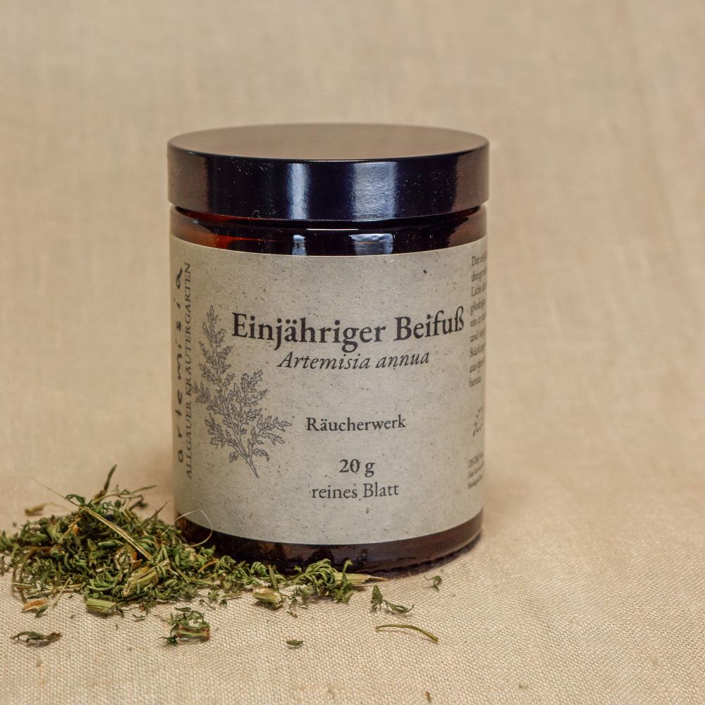 Artemisia annua geschnitten Räucherwerk