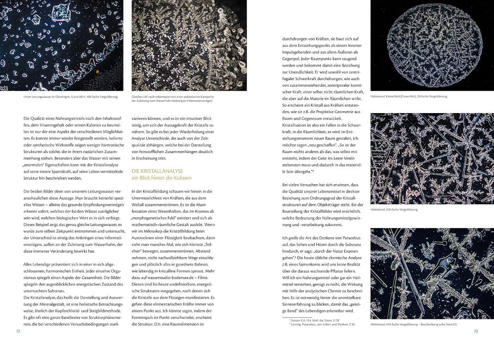 Phönix aus der Asche