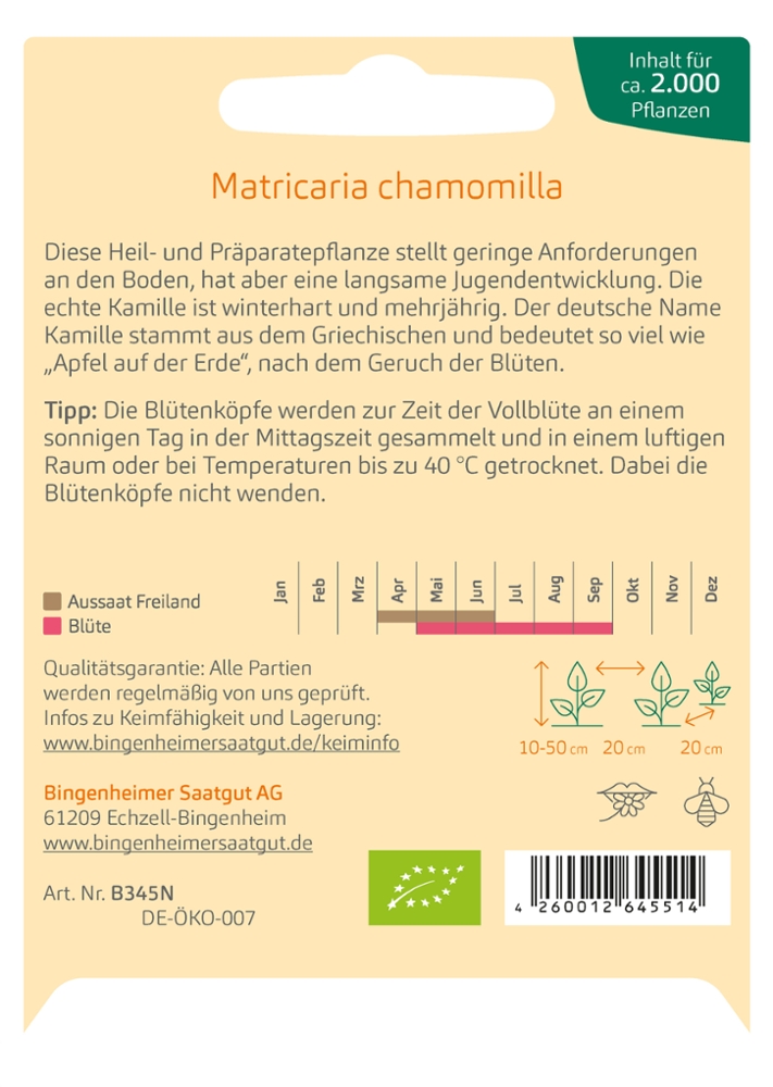 Kamille 'Matricaria chamomilla' Kamille 'Matricaria chamomilla'