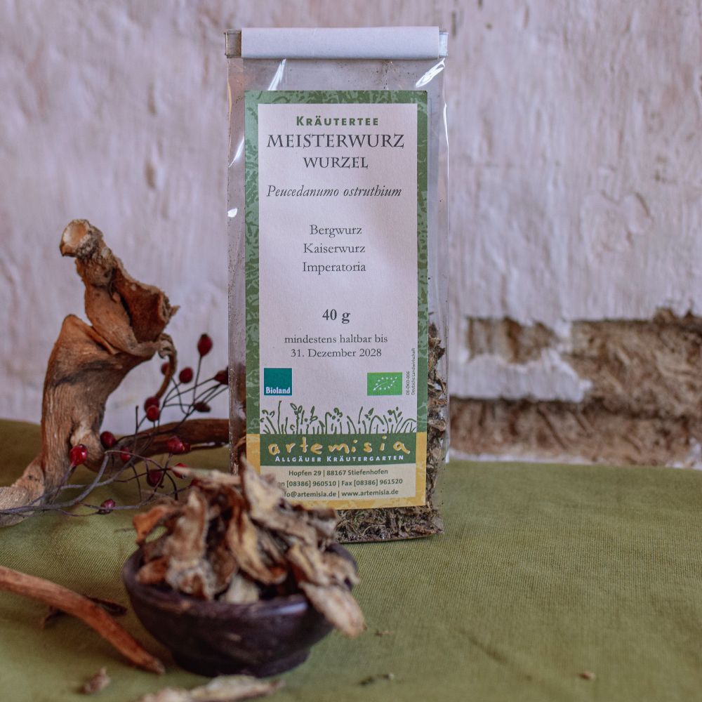 Meisterwurz Wurzel