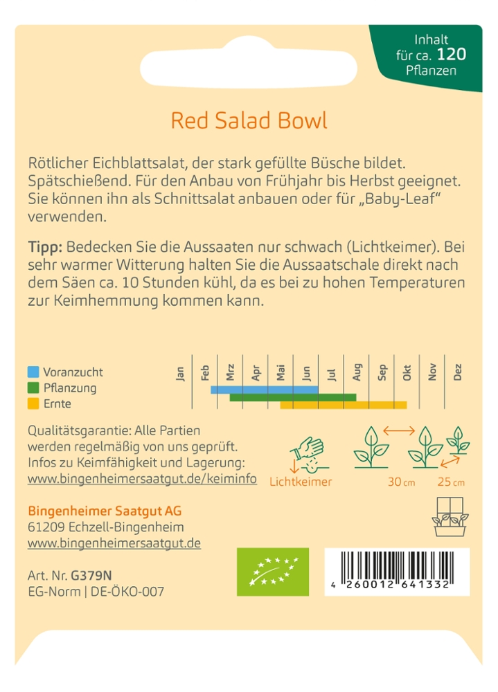 Roter Eichblattsalat 'Red Salad Bowl'