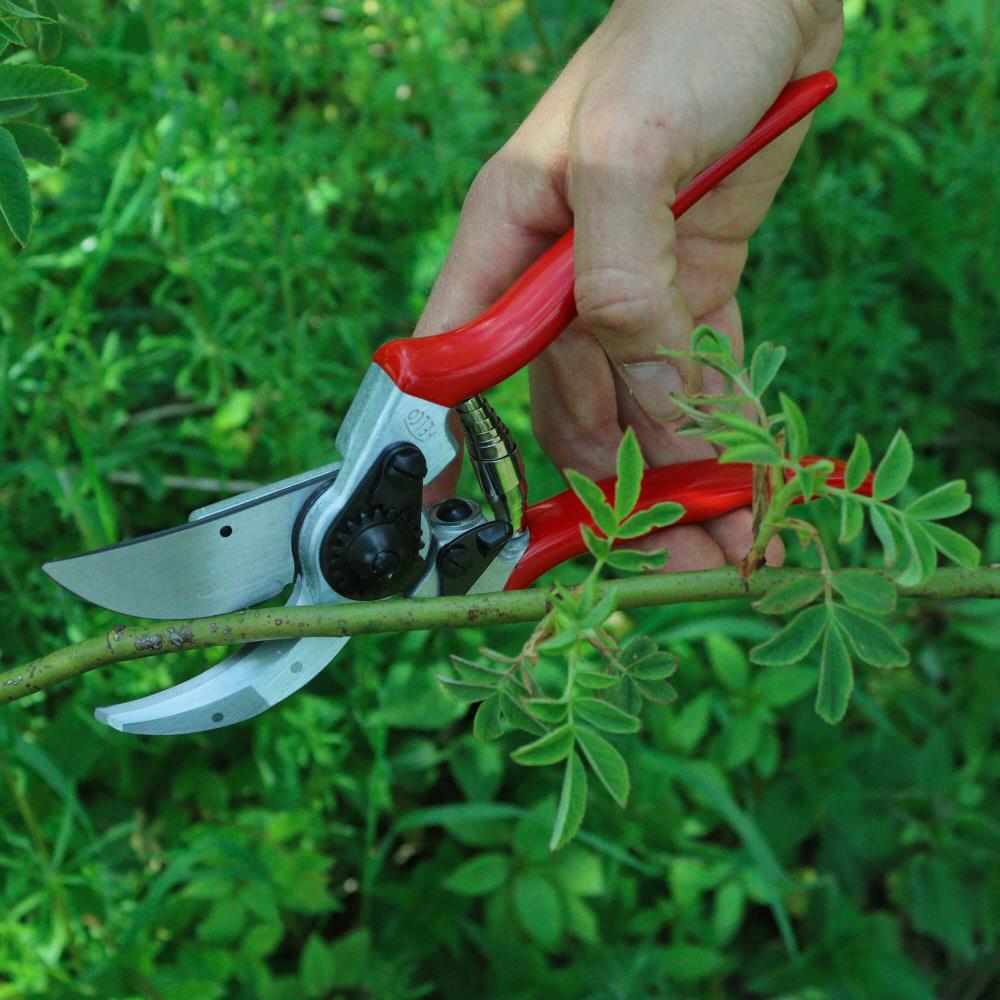 Baumschere Felco kompakt