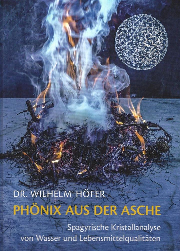 Phönix aus der Asche